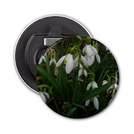 Snowdruppels I (Galanthus) White Spring Flowers Button Flesopener (Voorkant)