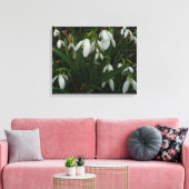 Snowdruppels I (Galanthus) White Spring Flowers Canvas Afdruk (Insitu (Woonkamer))