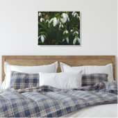 Snowdruppels I (Galanthus) White Spring Flowers Canvas Afdruk (Insitu (Slaapkamer))