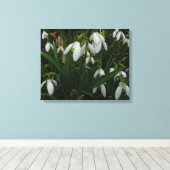 Snowdruppels I (Galanthus) White Spring Flowers Canvas Afdruk (Insitu (Houten vloer))