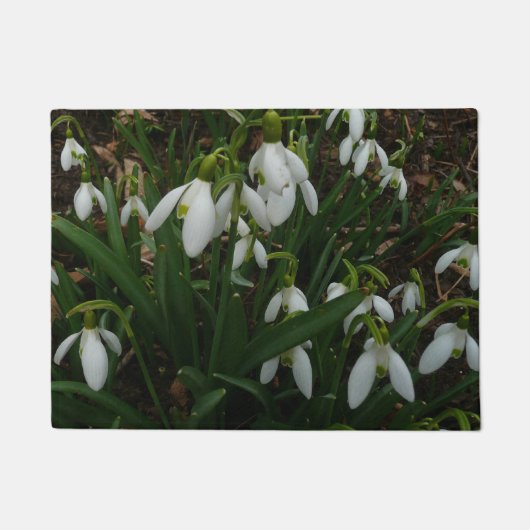 Snowdruppels I (Galanthus) White Spring Flowers Deurmat (Voorkant)