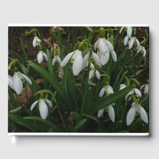 Snowdruppels I (Galanthus) White Spring Flowers Gastenboek (Voorkant)