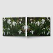 Snowdruppels I (Galanthus) White Spring Flowers Gastenboek (Volledig)