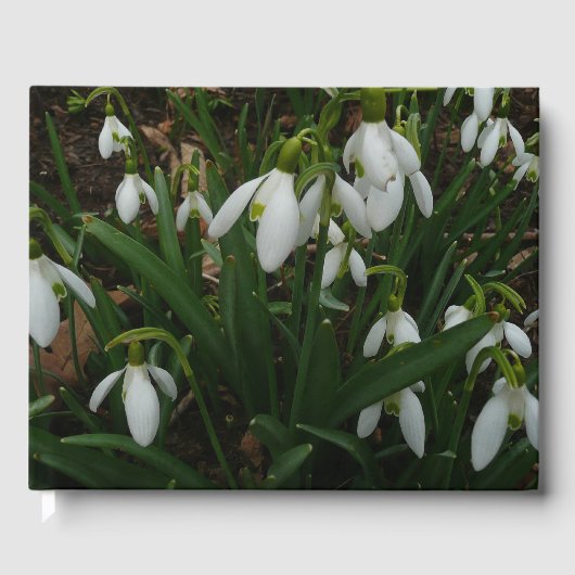 Snowdruppels I (Galanthus) White Spring Flowers Gastenboek (Voorkant)