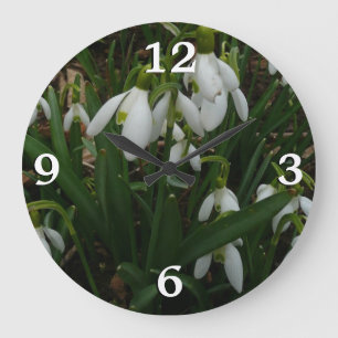 Snowdruppels I (Galanthus) White Spring Flowers Grote Klok