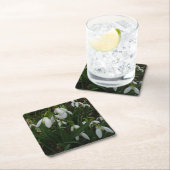 Snowdruppels I (Galanthus) White Spring Flowers Kartonnen Onderzetters (Insitu)