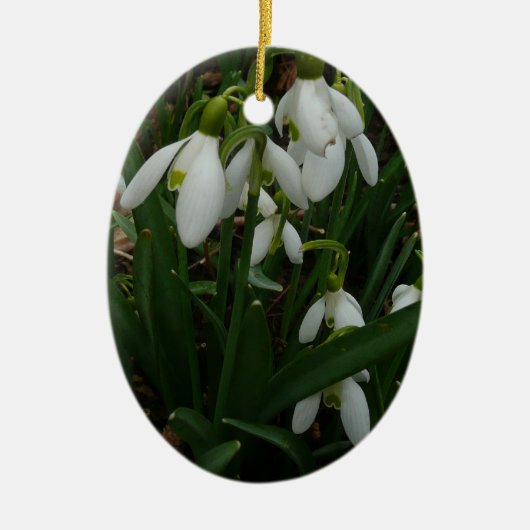 Snowdruppels I (Galanthus) White Spring Flowers Keramisch Ornament (Voorkant)