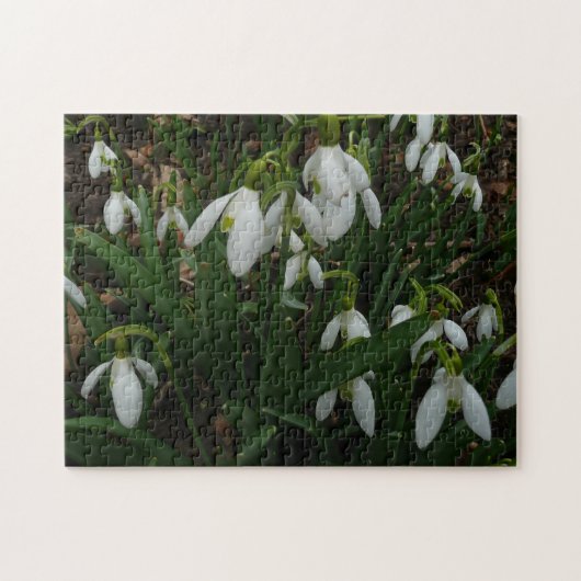 Snowdruppels I (Galanthus) White Spring Flowers Legpuzzel (Horizontaal)