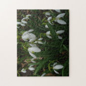 Snowdruppels I (Galanthus) White Spring Flowers Legpuzzel (Verticaal)