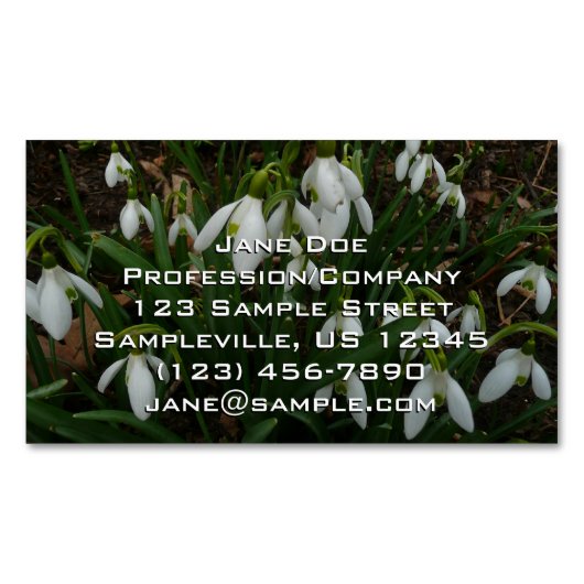 Snowdruppels I (Galanthus) White Spring Flowers Magnetisch Visitekaartje (Voorkant)
