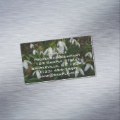 Snowdruppels I (Galanthus) White Spring Flowers Magnetisch Visitekaartje (Voorbeeld)