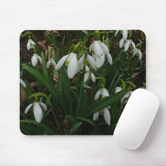 Snowdruppels I (Galanthus) White Spring Flowers Muismat (Met muis)