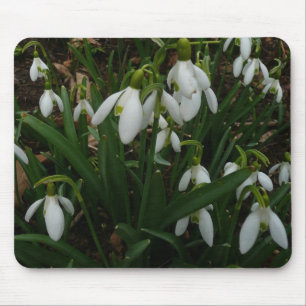 Snowdruppels I (Galanthus) White Spring Flowers Muismat