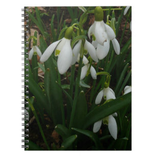 Snowdruppels I (Galanthus) White Spring Flowers Notitieboek