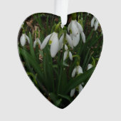 Snowdruppels I (Galanthus) White Spring Flowers Ornament (voorkant)