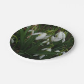 Snowdruppels I (Galanthus) White Spring Flowers Papieren Bordje (Gekanteld)