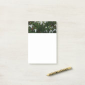 Snowdruppels I (Galanthus) White Spring Flowers Post-it® Notes (Op bureau)