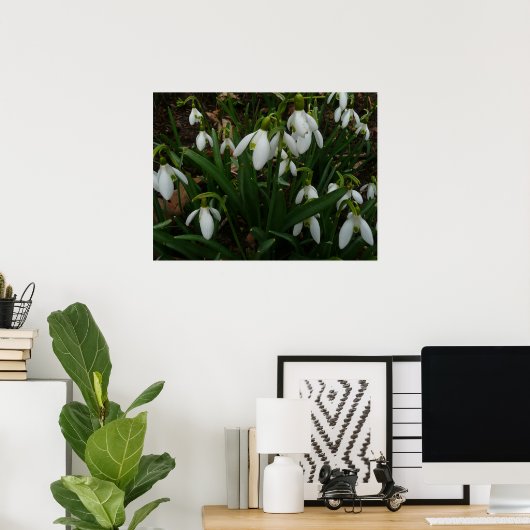 Snowdruppels I (Galanthus) White Spring Flowers Poster (Thuiskantoor)