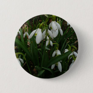 Snowdruppels I (Galanthus) White Spring Flowers Ronde Button 5,7 Cm