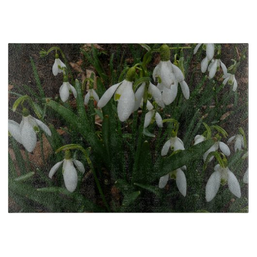 Snowdruppels I (Galanthus) White Spring Flowers Snijplank (Voorkant)