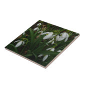 Snowdruppels I (Galanthus) White Spring Flowers Tegeltje (Zijkant)