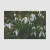 Snowdruppels I (Galanthus) White Spring Flowers Tissuepapier (Voorkant)