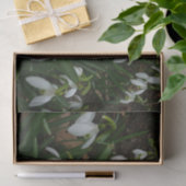 Snowdruppels I (Galanthus) White Spring Flowers Tissuepapier (Geschenk)