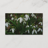 Snowdruppels I (Galanthus) White Spring Flowers Visitekaartje (Achterkant)
