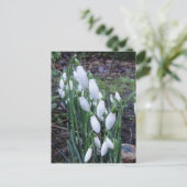 Snowdruppels in het briefkaart van de regen (Staand voorkant)