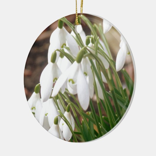 Snowdruppels Keramisch Ornament (Links)