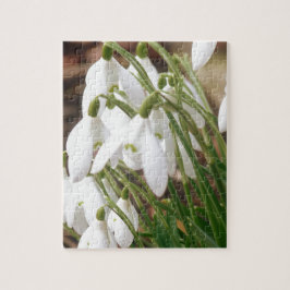Snowdruppels Legpuzzel