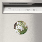 Snowdruppels Magneet (Insitu (Vaatwasser))