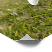 Snowdruppels onder de appelboom poster (Hoek)