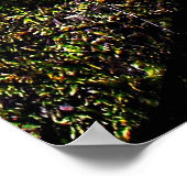 Snowdruppels per River Hafren Print (Hoek)