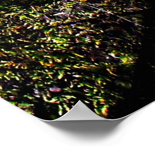 Snowdruppels per River Hafren Print (Hoek)