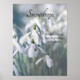 Snowdruppels Poster