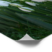 Snowdruppels Poster (Hoek)