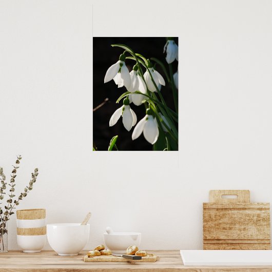 Snowdruppels Poster (Keuken)