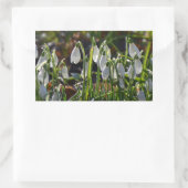 Snowdruppels Rechthoekige Sticker (Tas)