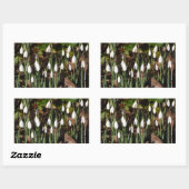 Snowdruppels Rechthoekige Sticker (Vel)