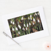 Snowdruppels Rechthoekige Sticker (Envelop)