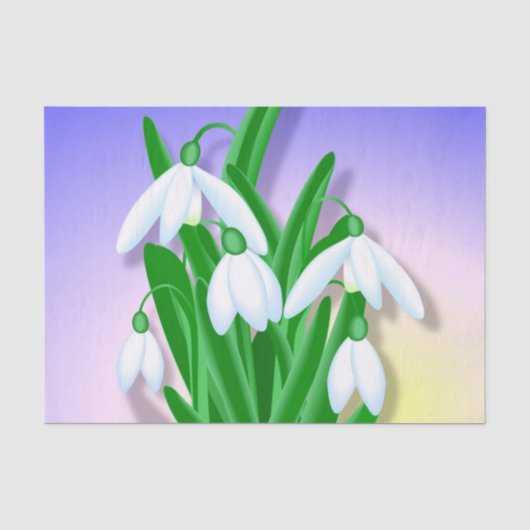 Snowdruppels Tissuepapier (Voorkant)