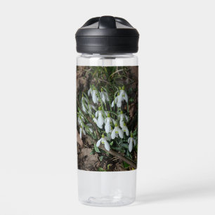 Snowdruppels zijn de eerste bloemen van de lente waterfles