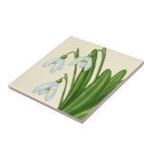 Snowdruppeltegel Tegeltje (Zijkant)