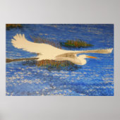 Snowey white crusin poster (Voorkant)