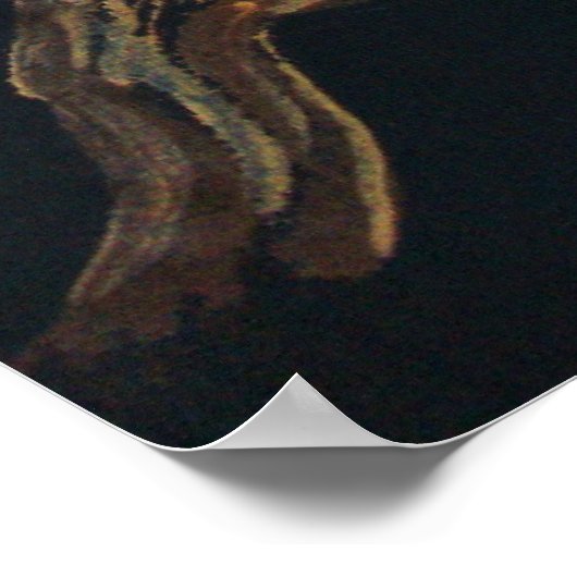 Snowey white egret poster (Hoek)