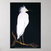 Snowey white egret poster (Voorkant)