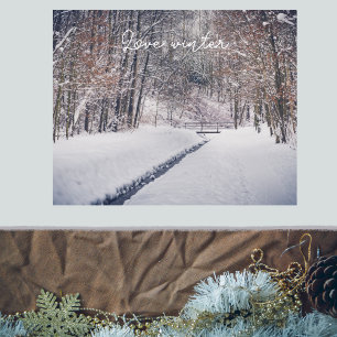 Snowfall bij de rotting van het park poster