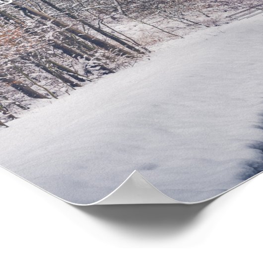 Snowfall bij de rotting van het park poster (Hoek)