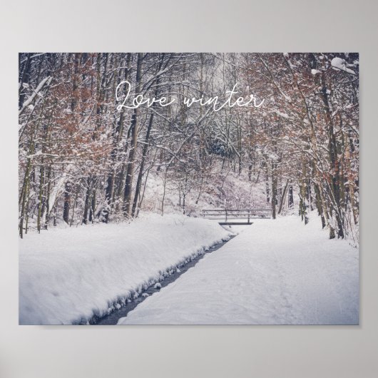 Snowfall bij de rotting van het park poster (Voorkant)